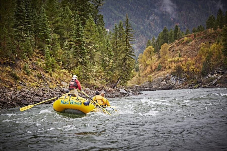 Jackson: 8-Mile Classic Boat Whitewater Rafting Trip - Key points to know before you book