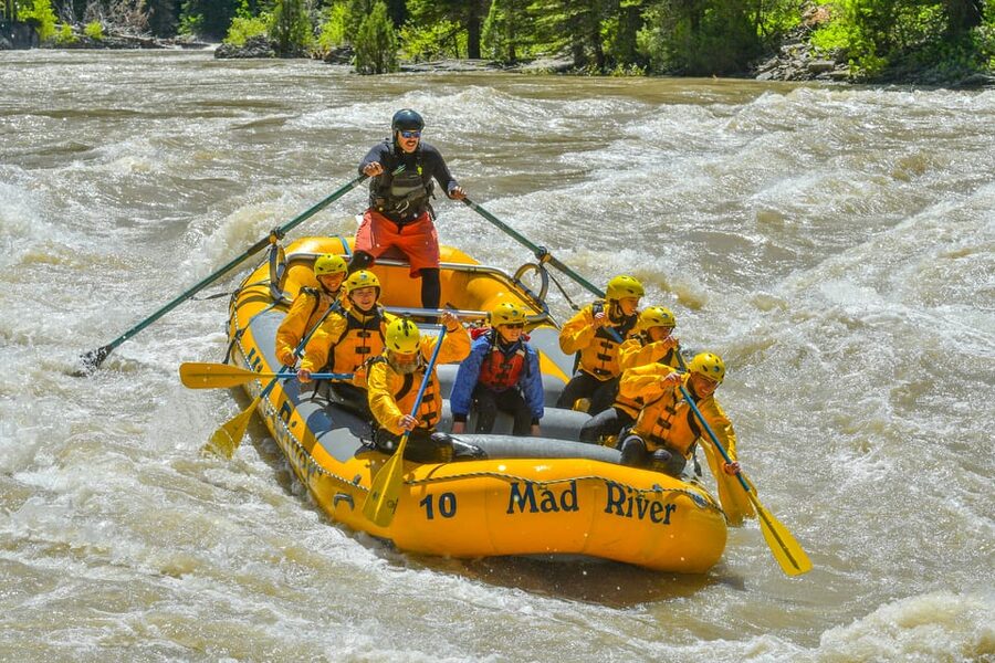 Jackson: 8-Mile Classic Boat Whitewater Rafting Trip - The scenic northern water and Snake River Canyon