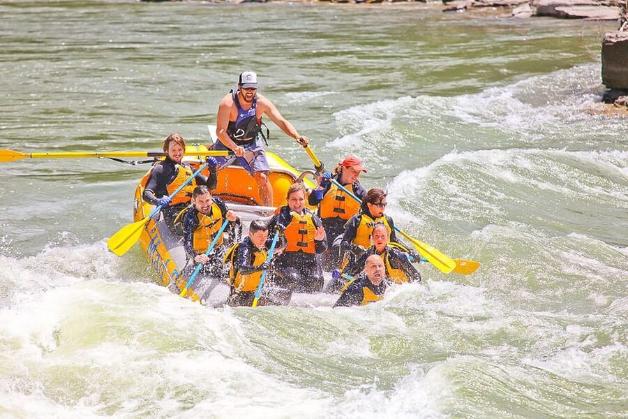 Jackson: 8-Mile Small-Boat Whitewater Rafting Trip - Paddling into Snake River Canyon