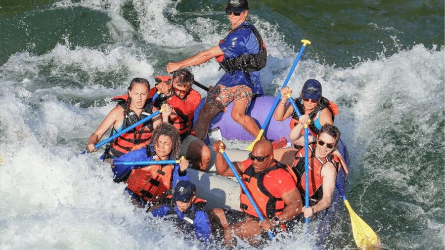 Jackson Hole: Snake River Whitewater Rafting Tour - Canyon Scenery And Wildlife Along the Way