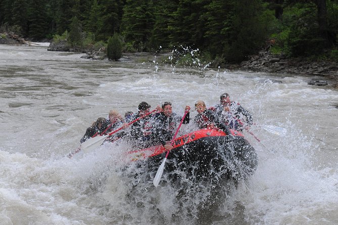 Jackson Hole Whitewater Rafting Classic from Jackson Hole,Wyoming - Cold water, wetsuits, and what to bring