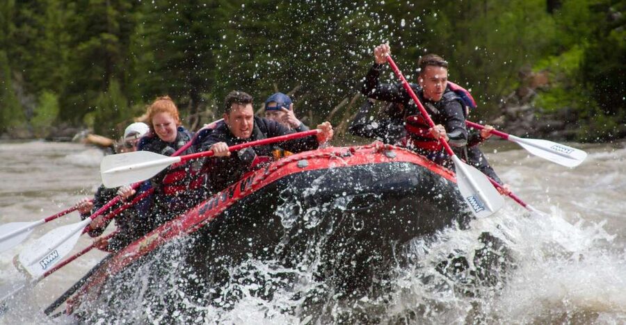 Jackson: Snake River Class 2-3 Whitewater Rafting Adventure - Key points to know before you book