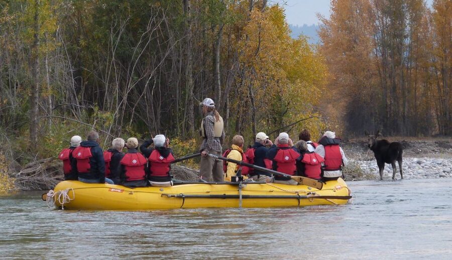 Jackson: Snake River Scenic Raft Float Tour with Teton Views - Who will enjoy this river float most?