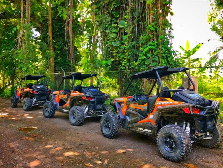 Jamaica: ATV, River Rafting & Blue Hole Tour from Ocho Rios - A fast-paced Jamaican day from Ocho Rios