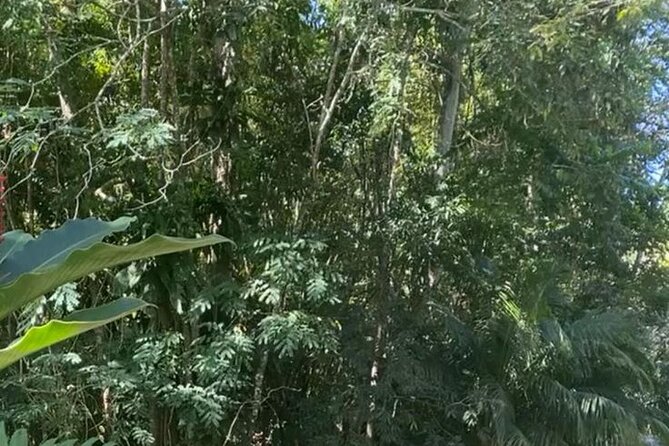 Jamaica Bamboo Rafting with Bus Transportation - What to pack for the Martha Brae