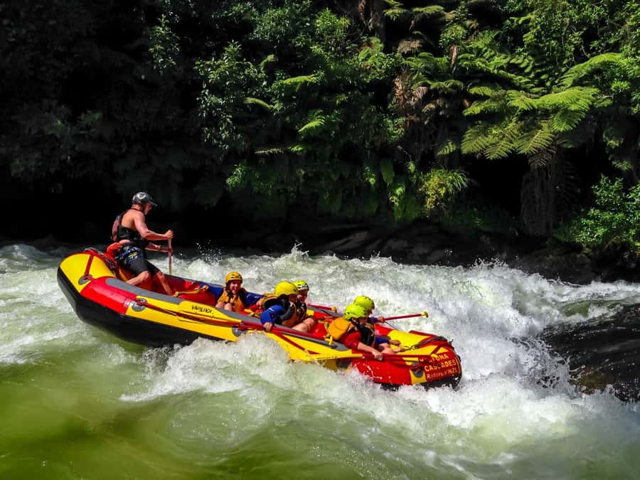 Kaituna River and Tutea Falls Whitewater Rafting - Key points to know before you book