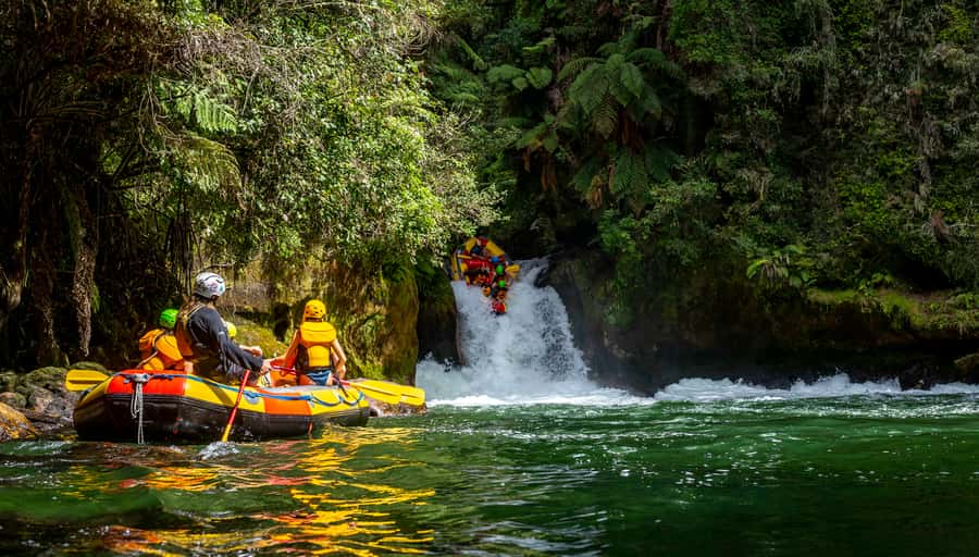 Kaituna River and Tutea Falls Whitewater Rafting - Tutea Falls is thrilling, not a token photo stop