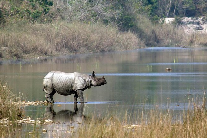 Kathmandu Pokhara & Chitwan Tour with Rafting -8 Days - Day 2: Four major Kathmandu landmarks