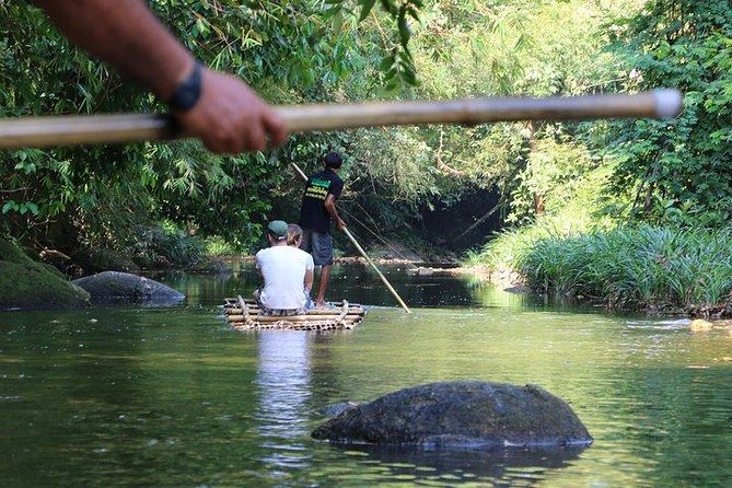 Khao Lak: Bamboo Rafting & Sea Turtle Conservation Center - The turtle center gives the tour a purpose