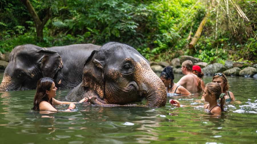 Khao Lak: Elephant Camp, Bamboo Rafting, and Waterfall Tour - Key points to know before booking