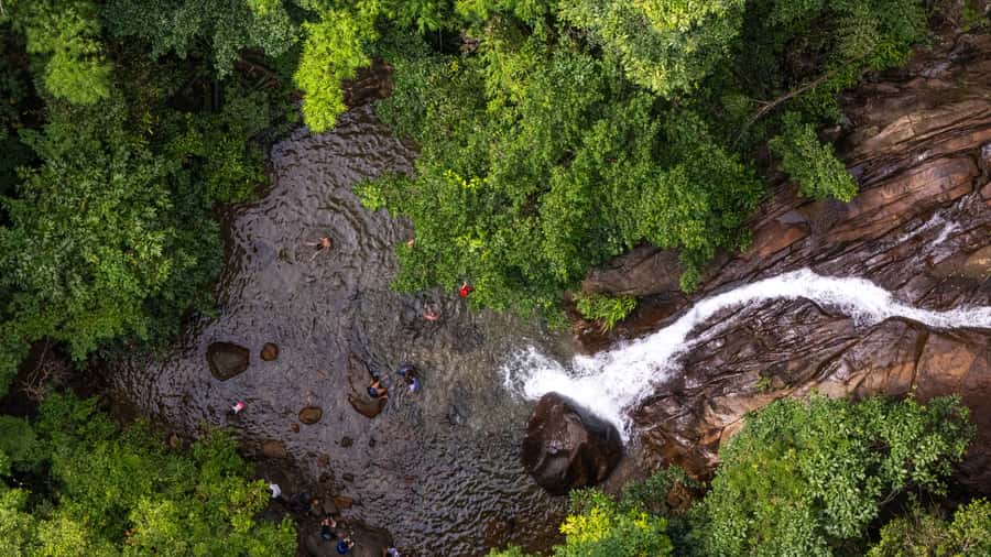 Khao Lak: Elephant Camp, Bamboo Rafting, and Waterfall Tour - Learning about sea turtle protection