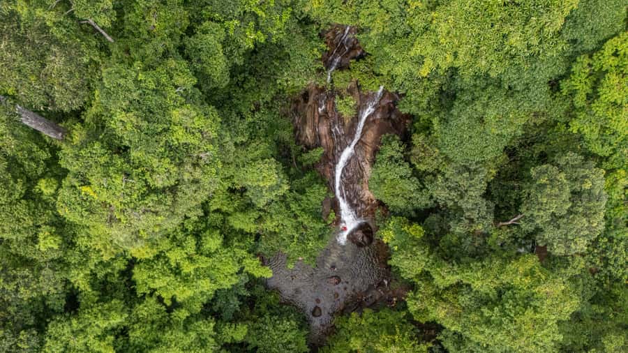 Khao Lak: Elephant Camp, Bamboo Rafting, and Waterfall Tour - Meeting elephants at Phang Nga Elephant Park
