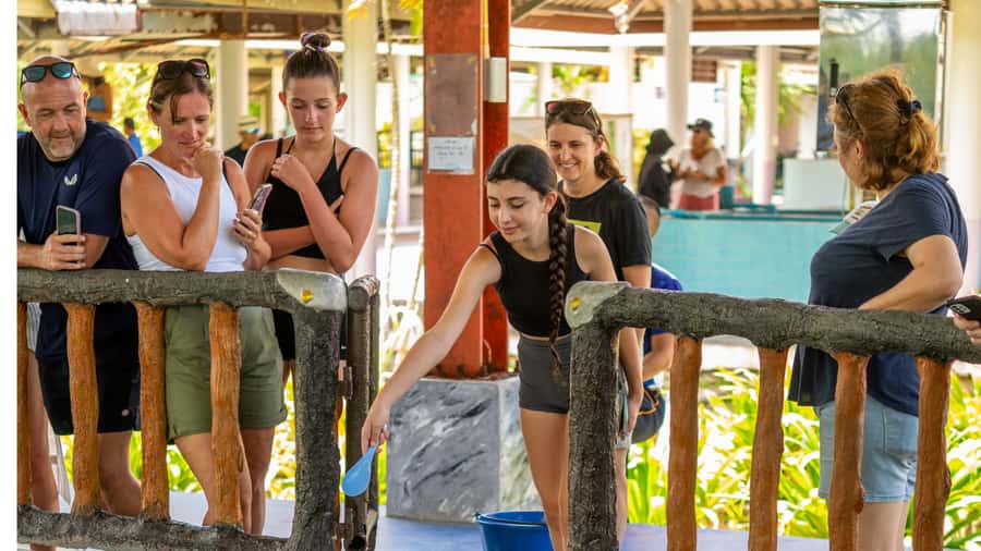 Khao Lak: Elephant Camp, Bamboo Rafting, and Waterfall Tour - Swimming at Ton Pring Waterfall