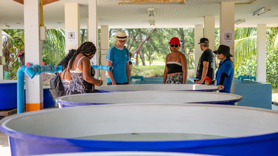 Khao Lak: Elephant Camp, Bamboo Rafting, and Waterfall Tour - What to pack for a wet outdoor day