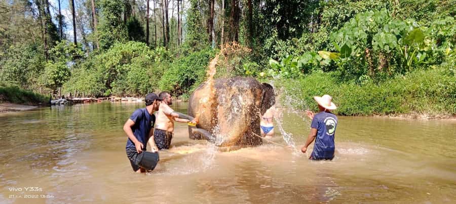 Khao Lak Ethical Adventure: Rafting, Turtles & Elephants - The day in six useful points