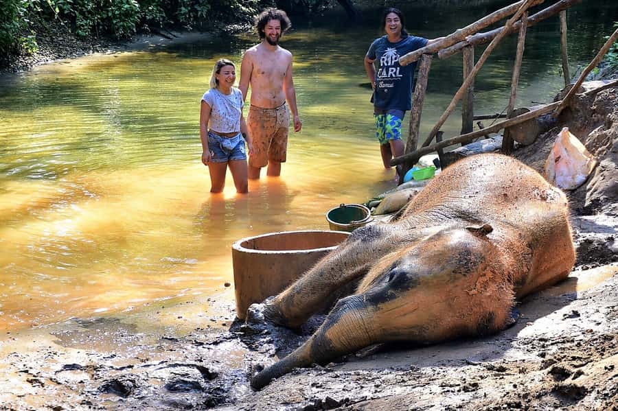 Khao Lak Ethical Adventure: Rafting, Turtles & Elephants - Why this tour works for a first Khao Lak visit