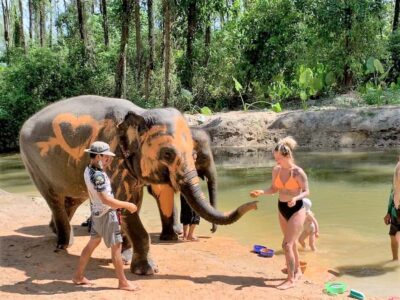 Khao Lak Ethical Adventure: Rafting, Turtles & Elephants