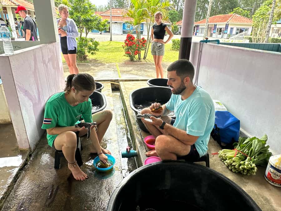 Khao Lak Ethical Adventure: Rafting, Turtles & Elephants - Wat Lak Kaen and a southern Thai lunch