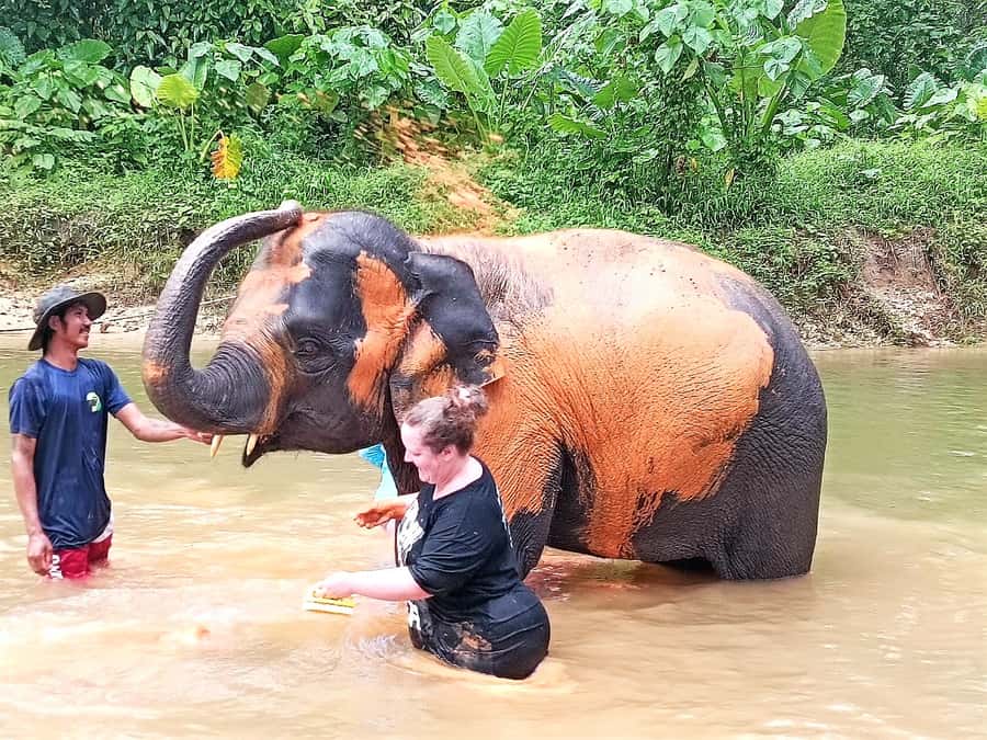 Khao Lak Ethical Adventure: Rafting, Turtles & Elephants - Police Boat 813 and the difficult part of the day