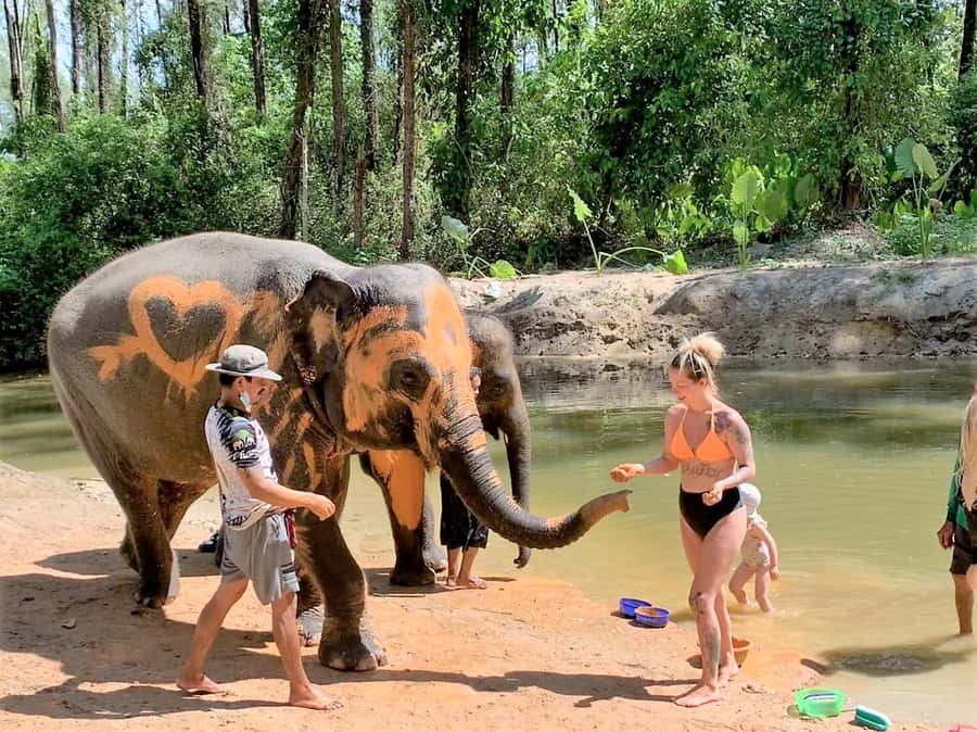 Khao Lak Ethical Adventure: Rafting, Turtles & Elephants - Sea turtles and a useful conservation lesson