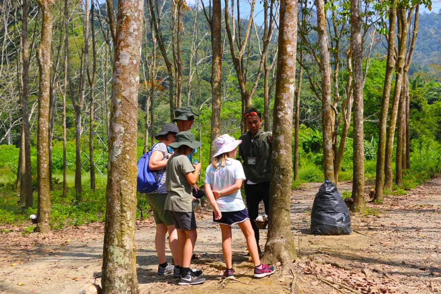 Khao Lak: Khao Sok Bamboo Rafting and Elephant Bathing Trip - Who will enjoy this day most