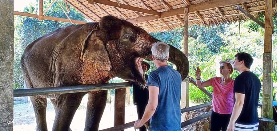 Khao Lak: Khao Sok Private Ethical Elephants & Rafting - Who should book this experience?