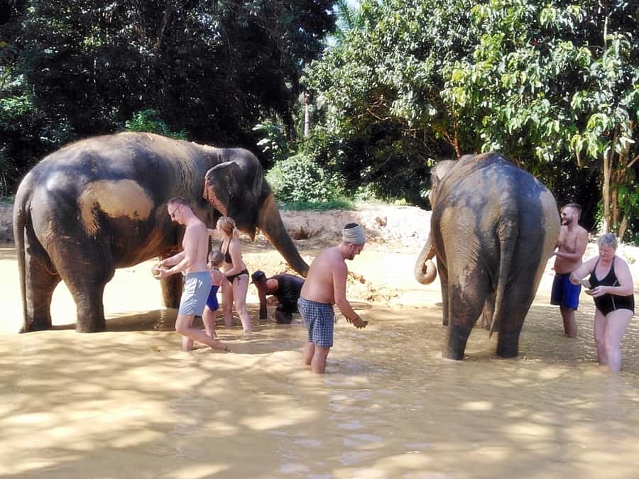 Khao Lak: Khao Sok Private Ethical Elephants & Rafting - Why this Khao Sok day trip works so well