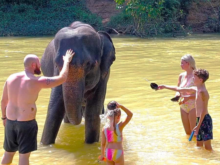 Khao Lak: Khao Sok Private Ethical Elephants & Rafting - Mae Yai Waterfall and the Khao Sok viewpoint