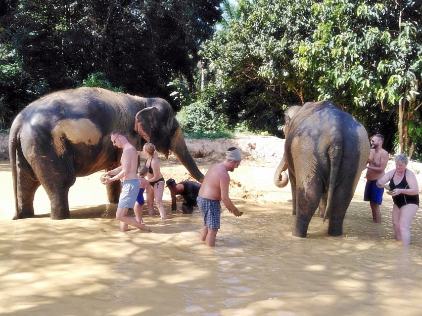 Khao Lak: Khao Sok Private Ethical Elephants & Rafting - Is $353 good value for up to three people?