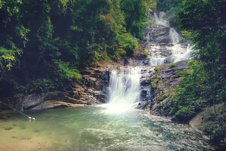 Khao Lak: Lampi Waterfall, Bamboo Rafting & Turtle Center - Bamboo rafting at Kiang Koo Creek