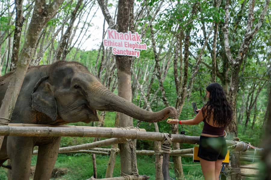 Khao Lak Multi-Adventure: Bamboo Rafting, ATV & Elephants - Should you book the Khao Lak multi-adventure?