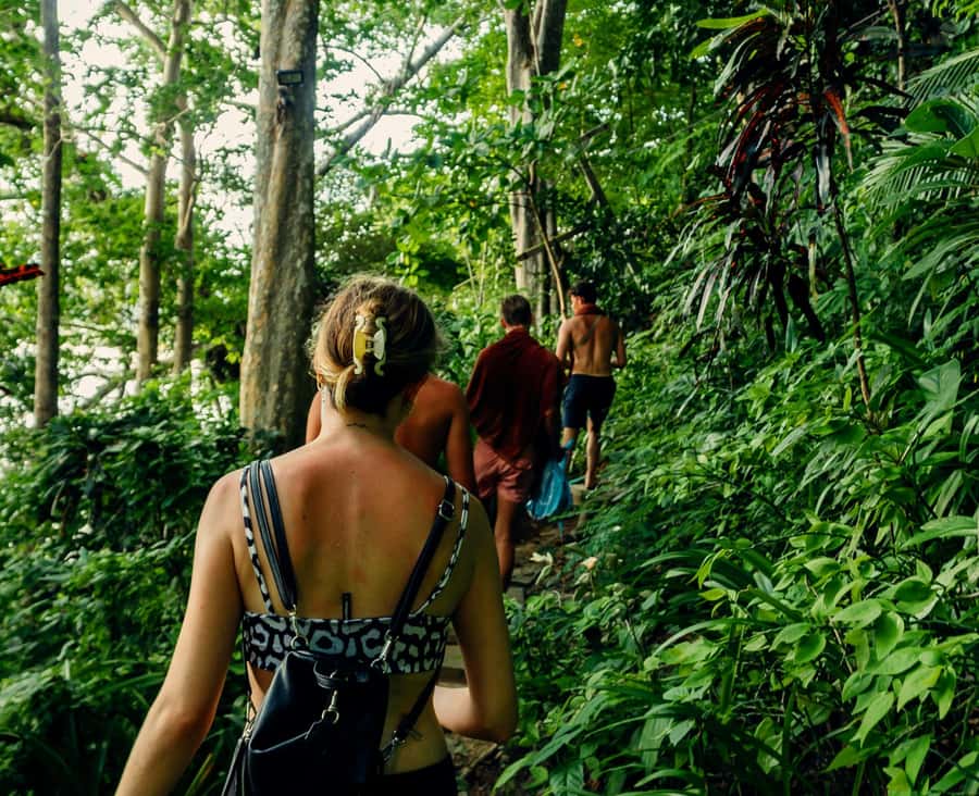 Khao Lak: Private Khao Sok Jungle Safari with Bamboo Rafting - Key points to know before booking