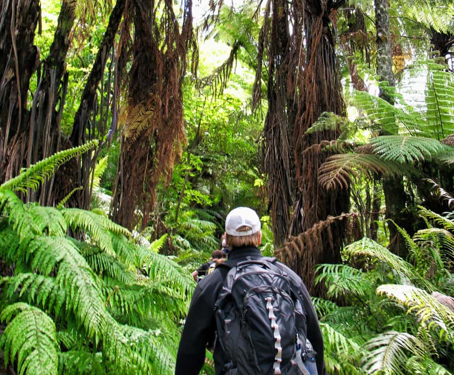 Khao Lak: Private Khao Sok Jungle Safari with Bamboo Rafting - What to pack for the day