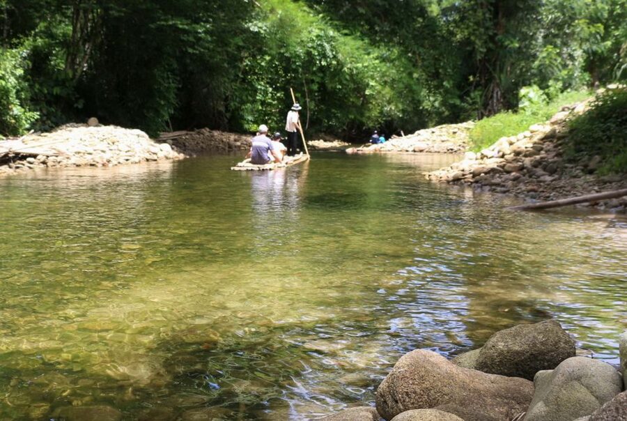 Khao Lak: Raft Expedition & Sea Turtle Conservation Center - Seeing the work behind sea turtle conservation