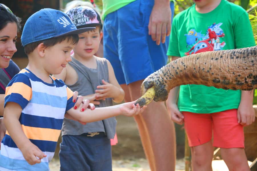 Khao Lak: Rafting, Elephant Bathing & Sea Turtle Center Tour - What to Bring and What to Wear