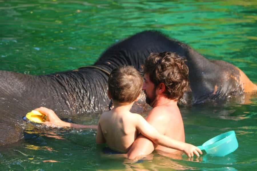 Khao Lak: Rafting, Elephant Bathing & Sea Turtle Center Tour - A Busy Five Hours With Four Very Different Stops