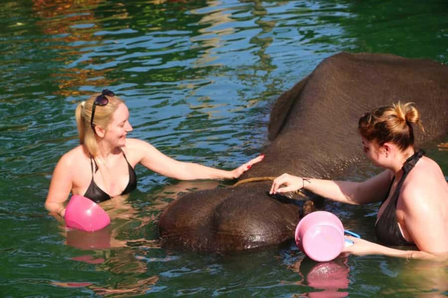 Khao Lak: Rafting, Elephant Bathing & Sea Turtle Center Tour - Sea Turtle Conservation Beyond the Aquarium Visit