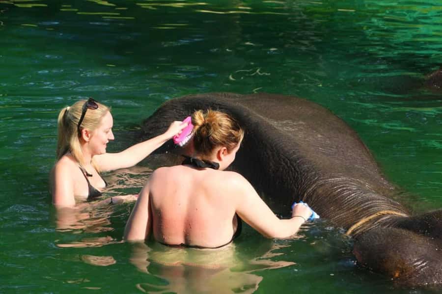 Khao Lak: Rafting, Elephant Bathing & Sea Turtle Center Tour - A Thai Lunch That Earns Its Place
