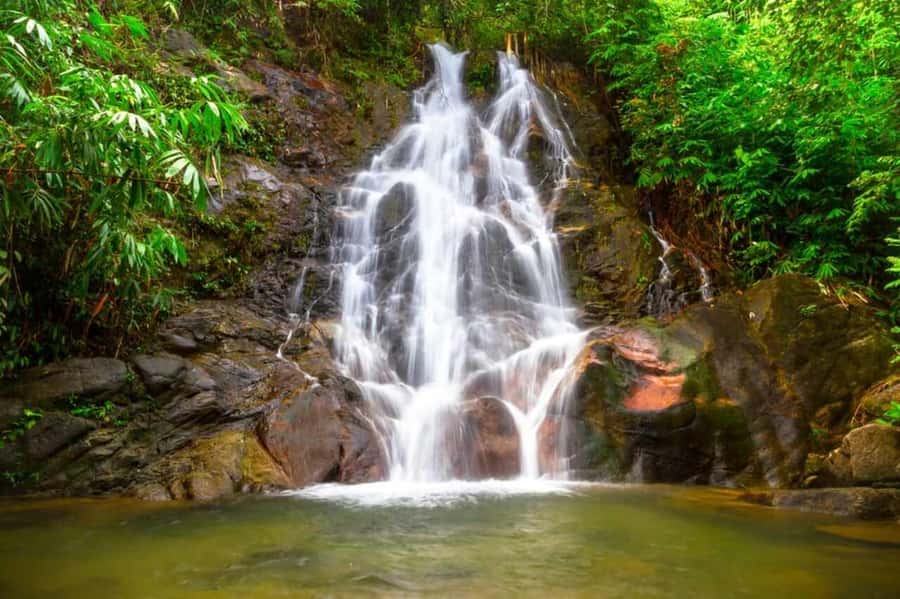 Khao Lak: Rafting, Elephant Bathing & Sea Turtle Center Tour - Guides, Drivers, and the Feel of the Day