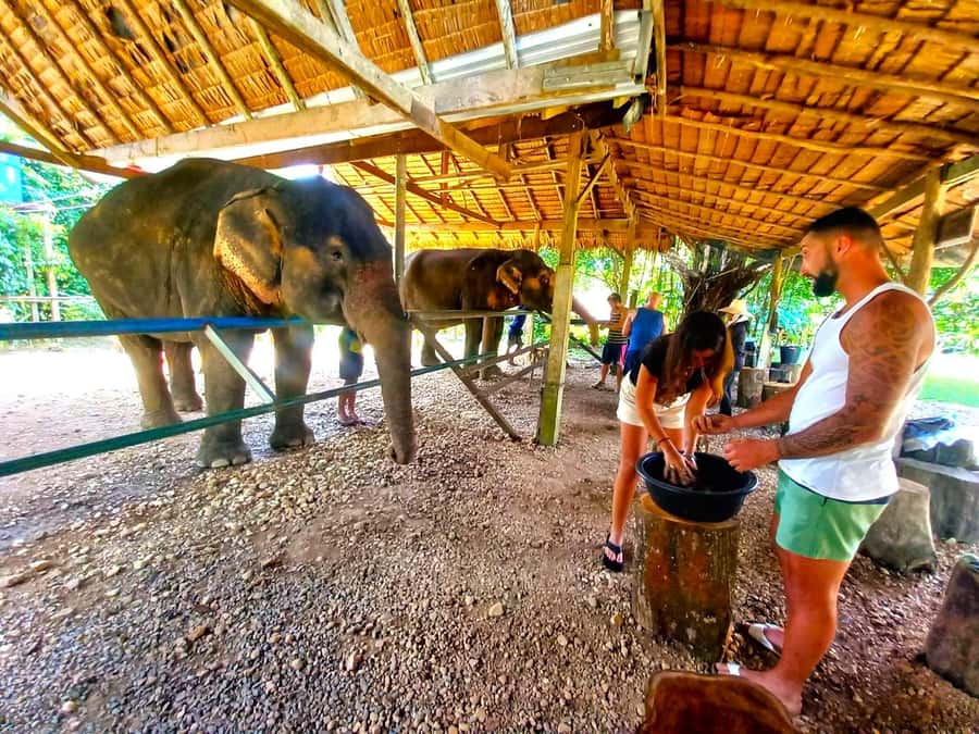 Khao Sok: Elephant Day Care, & Bamboo Rafting Day Tour - What the five-hour Khao Sok tour is really like