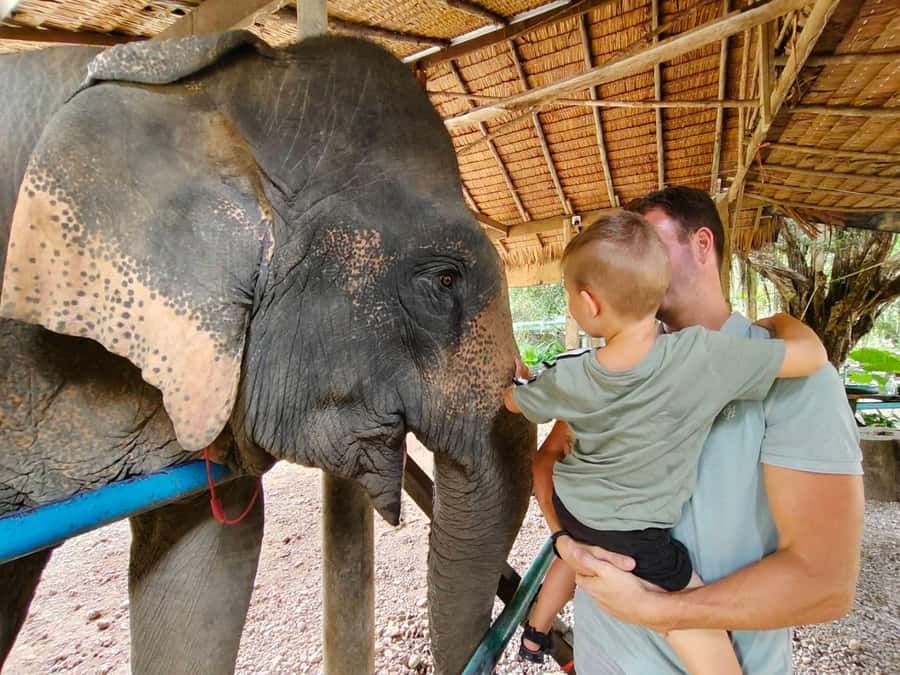 Khao Sok: Elephant Day Care, & Bamboo Rafting Day Tour - Mea Yai Waterfall and the scenic road