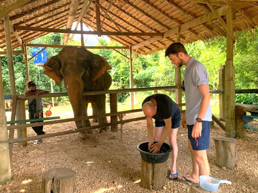Khao Sok: Elephant Day Care, & Bamboo Rafting Day Tour - Khao Sok Viewpoint and the first look at the park
