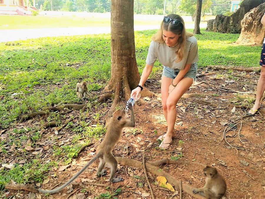 Khao Sok: Elephant Rescue Center with Lunch & Bamboo Rafting - Should you book this Khao Sok day?