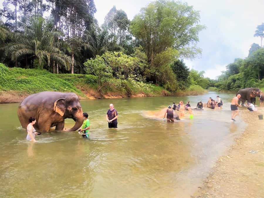 Khao Sok: Elephant Rescue Center with Lunch & Bamboo Rafting - A slow bamboo raft on the Sok River