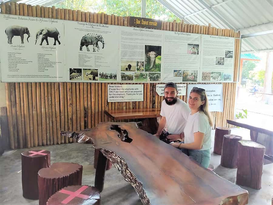 Khao Sok: Elephant Rescue Center with Lunch & Bamboo Rafting - Is $84 good value for eight hours?