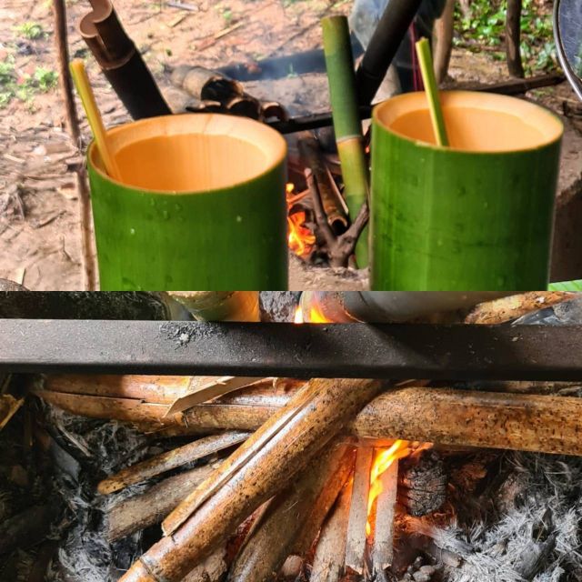 Khao Sok Jungle Day Trip - Jungle Trekking & Bamboo Rafting - Why this Khao Sok day trip works