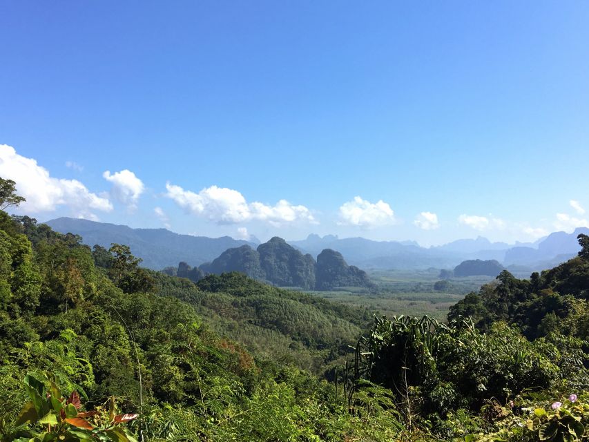 Khao Sok Jungle Day Trip - Jungle Trekking & Bamboo Rafting - Khao Sok Viewpoint: a useful first look