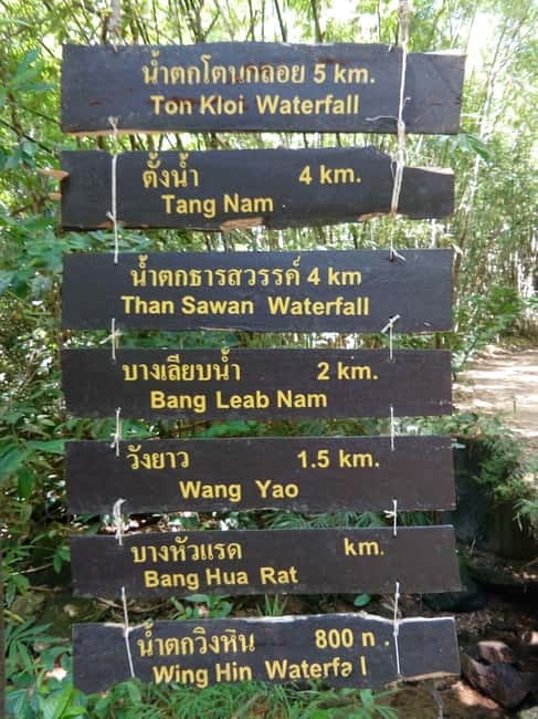 Khao Sok Jungle Day Trip - Jungle Trekking & Bamboo Rafting - Jungle coffee and the bamboo cup gift