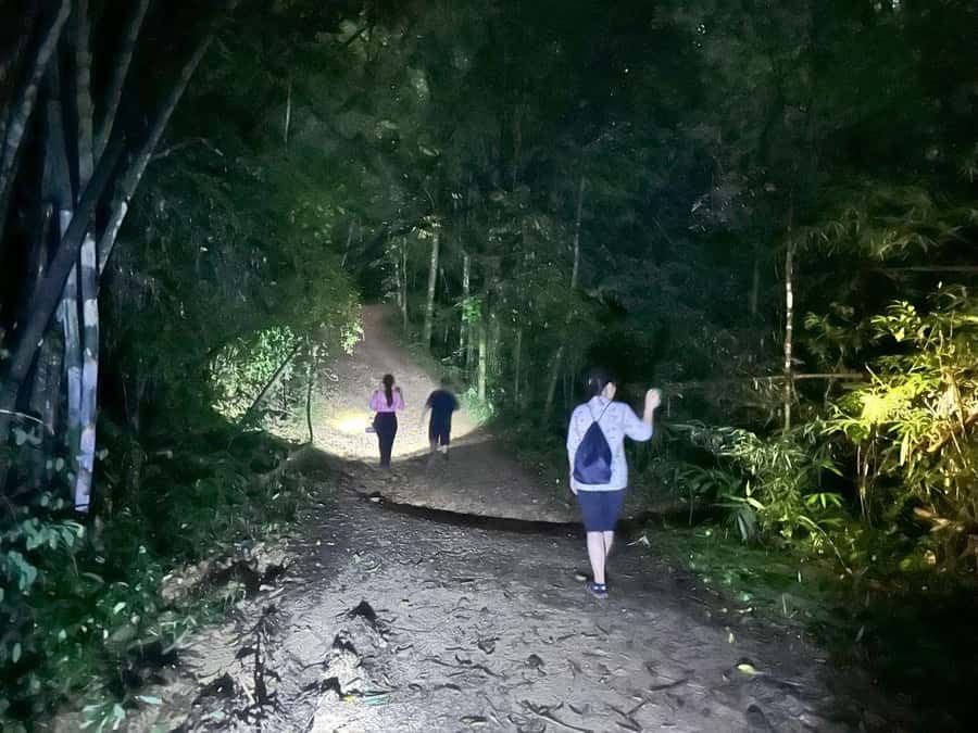 Khao Sok Jungle Sunset Wildlife Encounter & Bamboo Rafting - A slow start on the Sok River