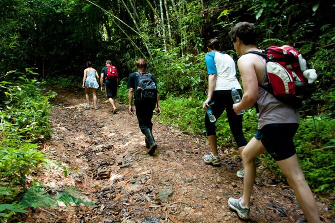 Khao Sok National Park Hiking and Bamboo Raft Tour From Khao Lak - Key points at a glance